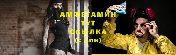 первитин Богданович
