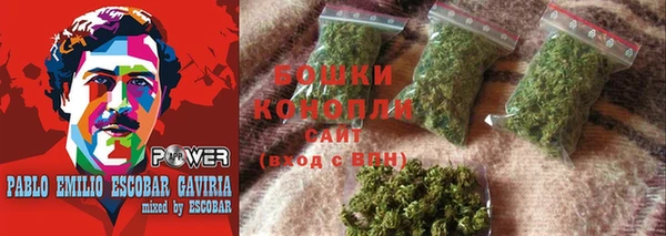 стафф Богородицк