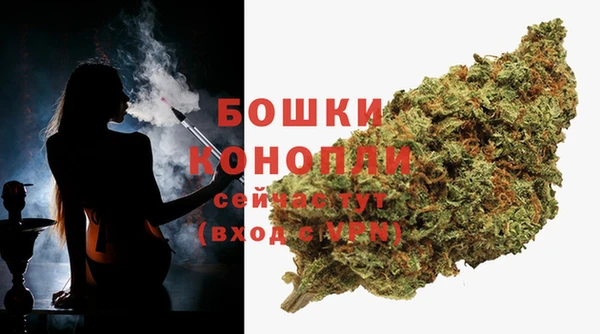 первитин Богданович