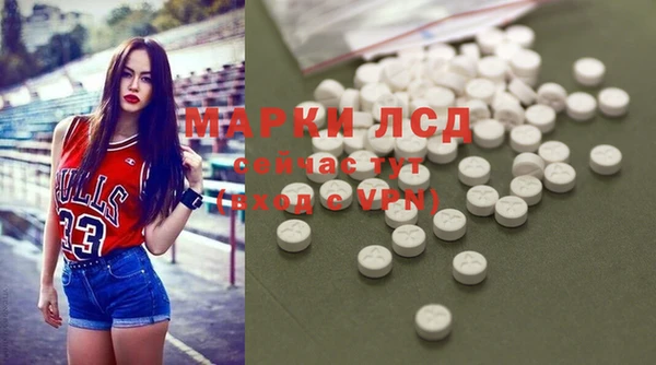 гидра Новозыбков
