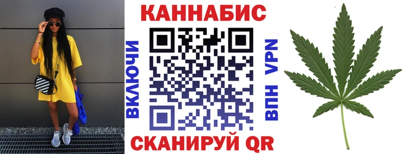 kraken ТОР  Михайлов  Каннабис Amnesia 